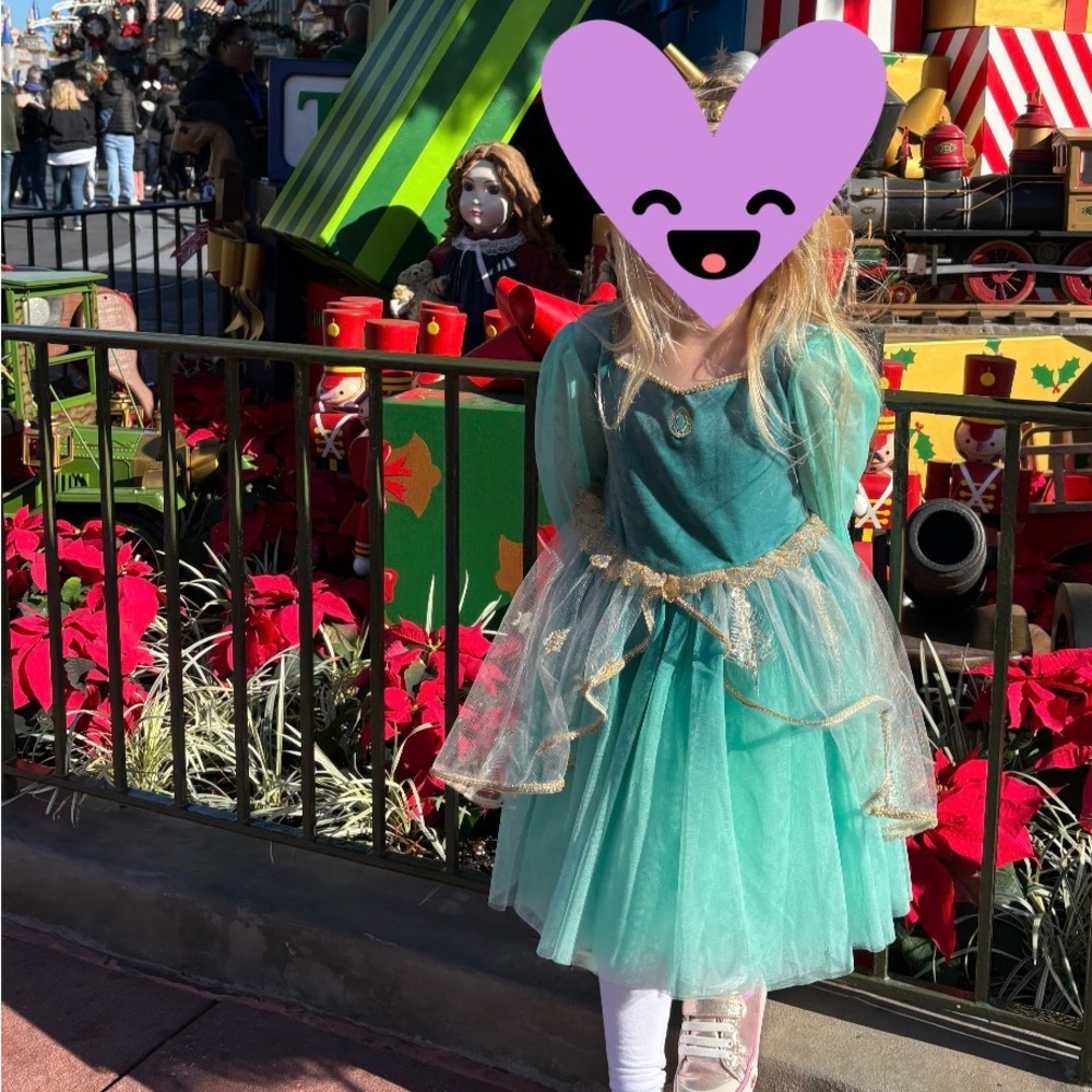 Long sleeves Jasmin dress, worn once in the parks.